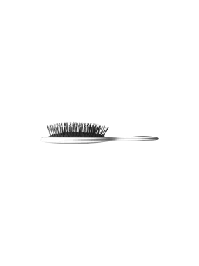 Bathpack Silver Brush